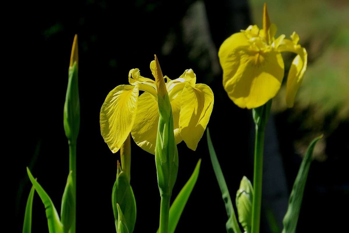 ... ����� Natali  ��������� �� PhotoGeek.ru #������ ��� ������� #����� ��������������