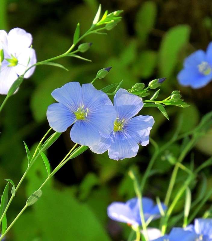 ... ����� Natali  ��������� �� PhotoGeek.ru #������ ��� ������� #����� ��������������