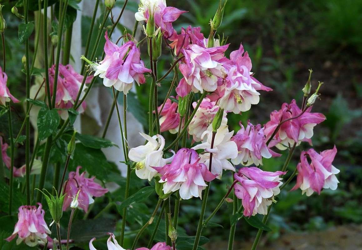 ... ����� Natali  ��������� �� PhotoGeek.ru #������ ��� ������� #����� ��������������