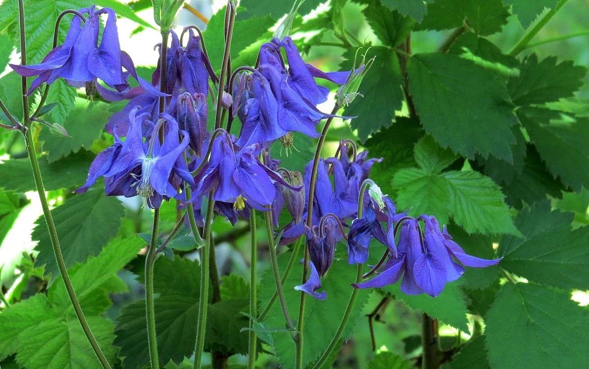 ... ����� Natali  ��������� �� PhotoGeek.ru #������ ��� ������� #����� ��������������