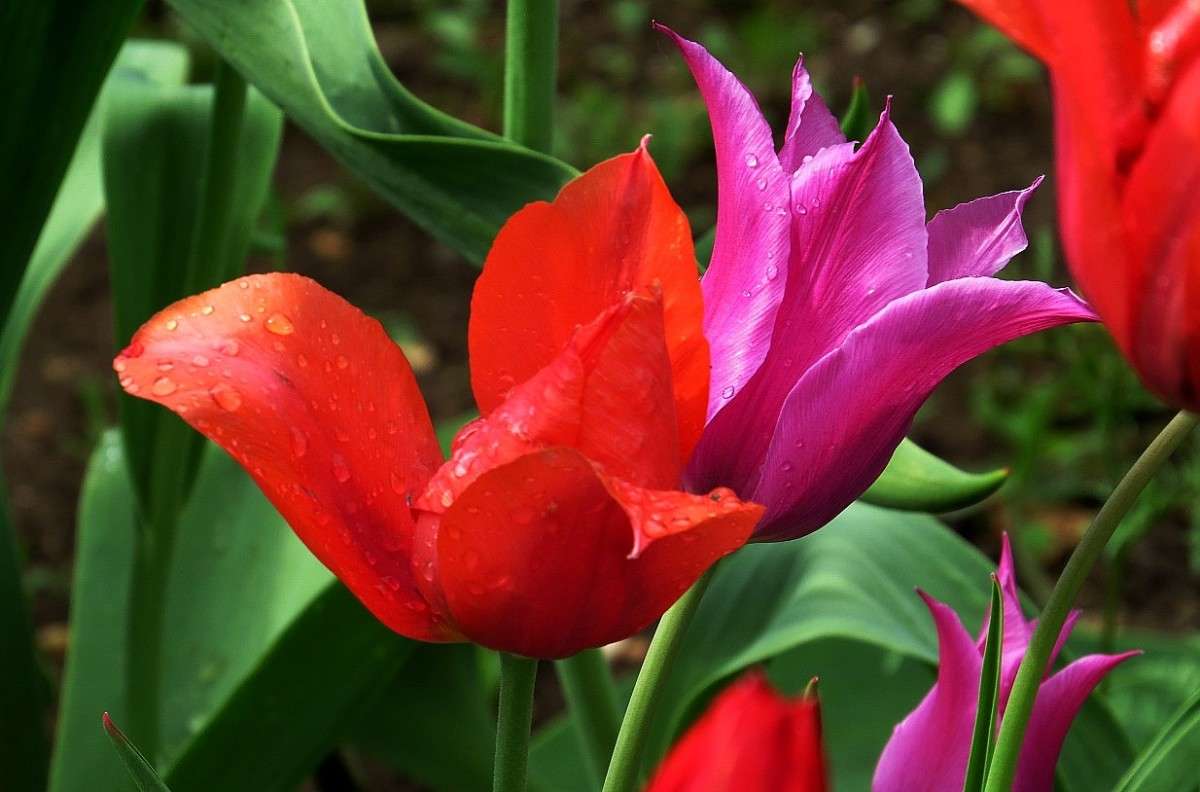 ... ����� Natali  ��������� �� PhotoGeek.ru #������ ��� ������� #����� ��������������