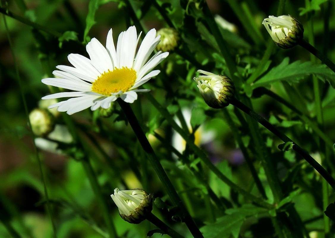 ... ����� Natali  ��������� �� PhotoGeek.ru #������ ��� ������� #����� ��������������