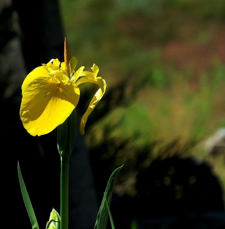 ... ����� Natali  ��������� �� PhotoGeek.ru #������ ��� ������� #����� ��������������