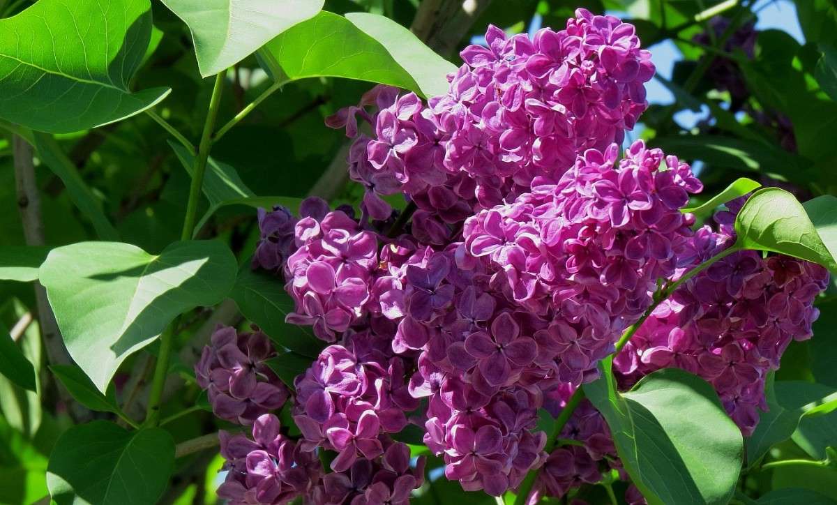 ... ����� Natali  ��������� �� PhotoGeek.ru #������ ��� ������� #����� ��������������