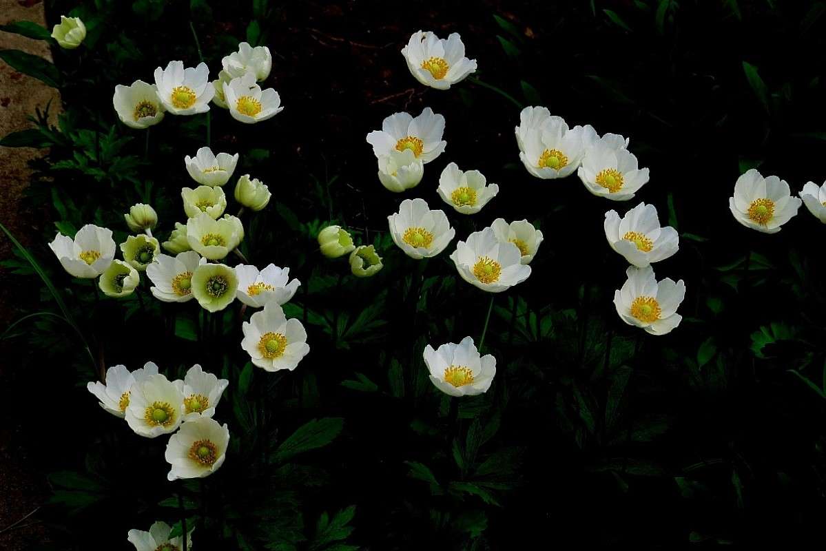 ... ����� Natali  ��������� �� PhotoGeek.ru #������ ��� ������� #����� ��������������