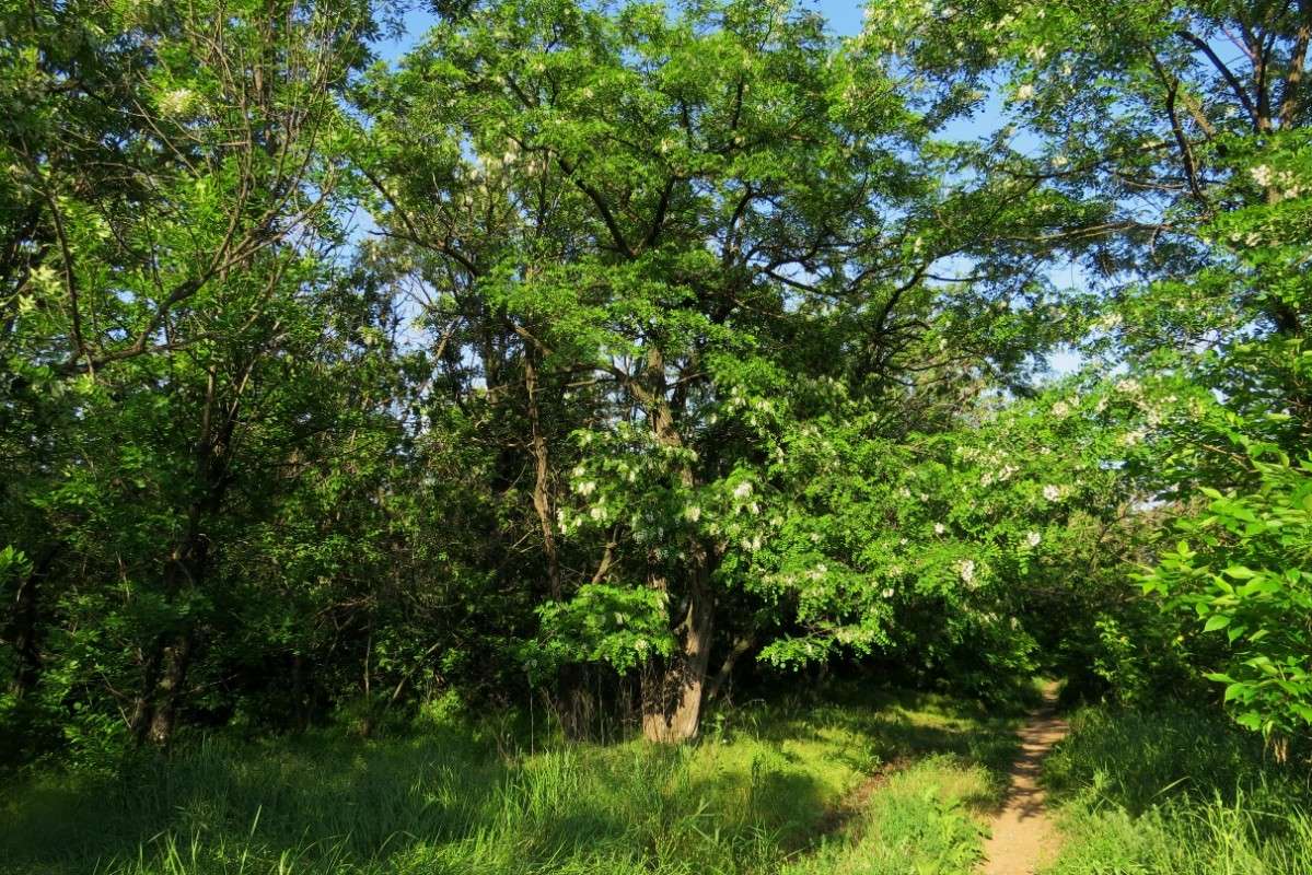 ������ ����� Natali  ��������� �� PhotoGeek.ru #������ ��� ������� #����� ��������������