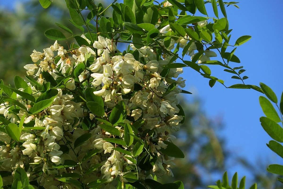 ����� ������ ������� �������� ����� Natali  ��������� �� PhotoGeek.ru #������ ��� ������� #����� ��������������