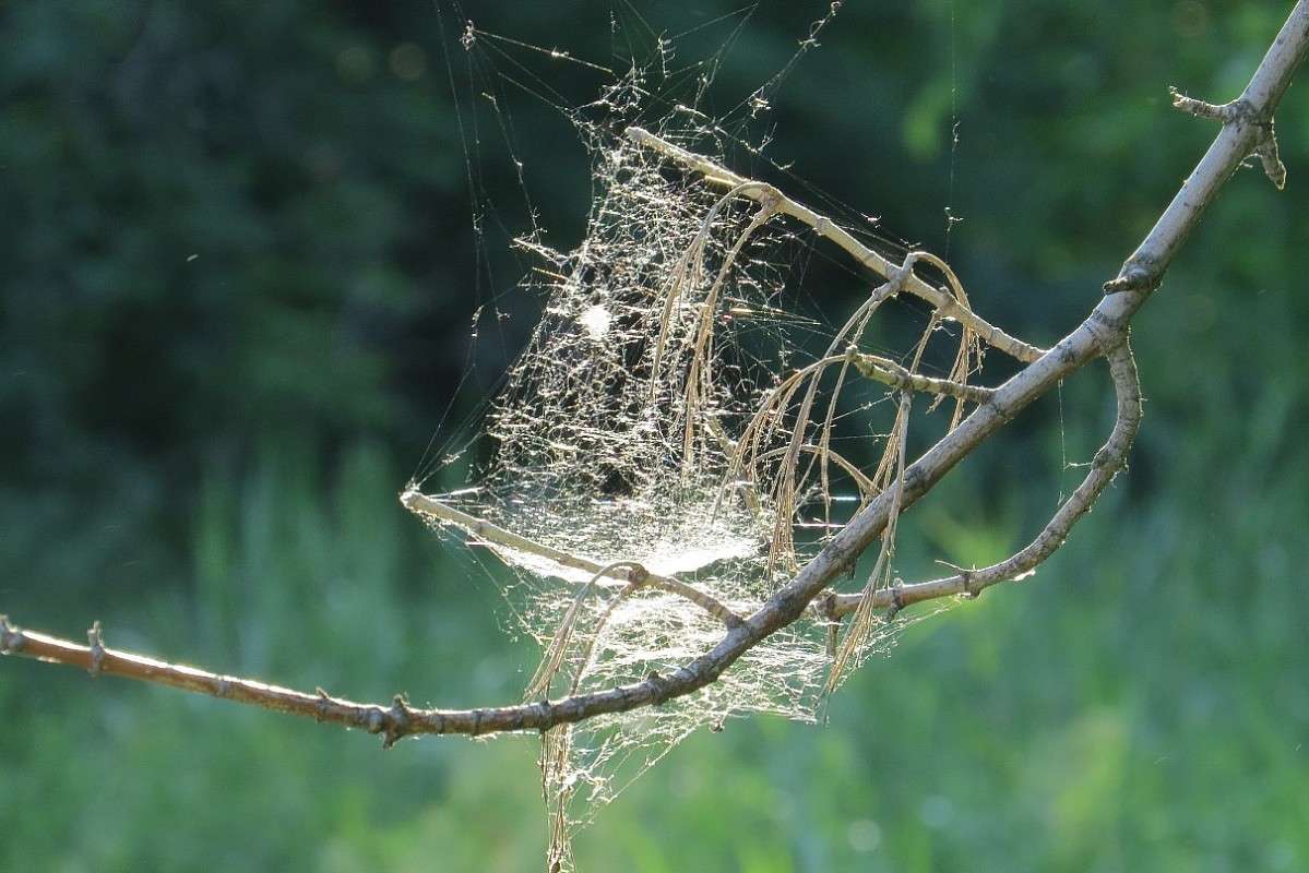 ������ ������ �������� ) ����� Natali  ��������� �� PhotoGeek.ru #������ ��� ������� #����� ��������