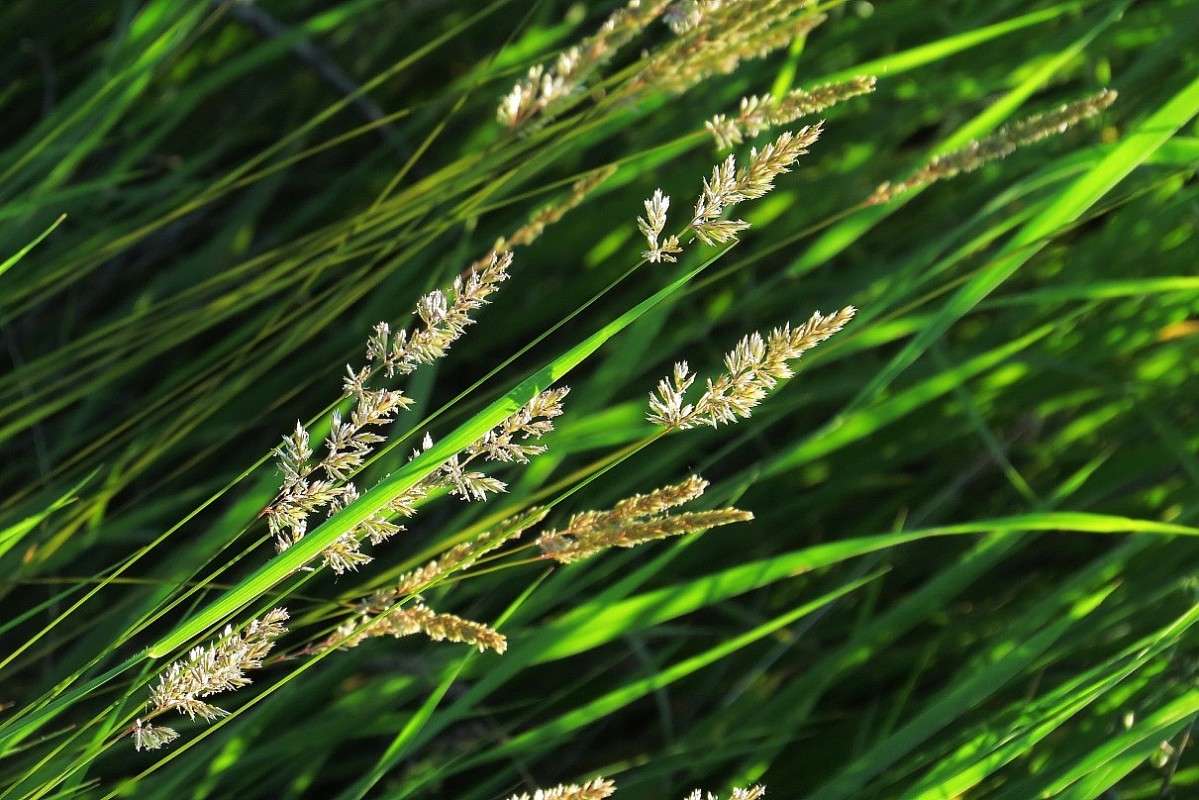 �����, ����� .... ����� Natali  ��������� �� PhotoGeek.ru #������ ��� ������� #����� ��������������