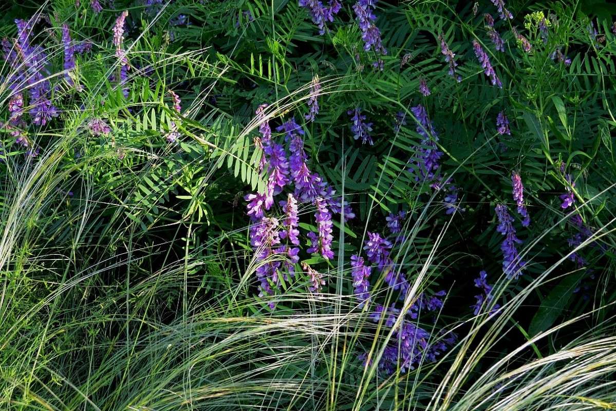 �����, ����� ... 2 ����� Natali  ��������� �� PhotoGeek.ru #������ ��� ������� #����� ��������������