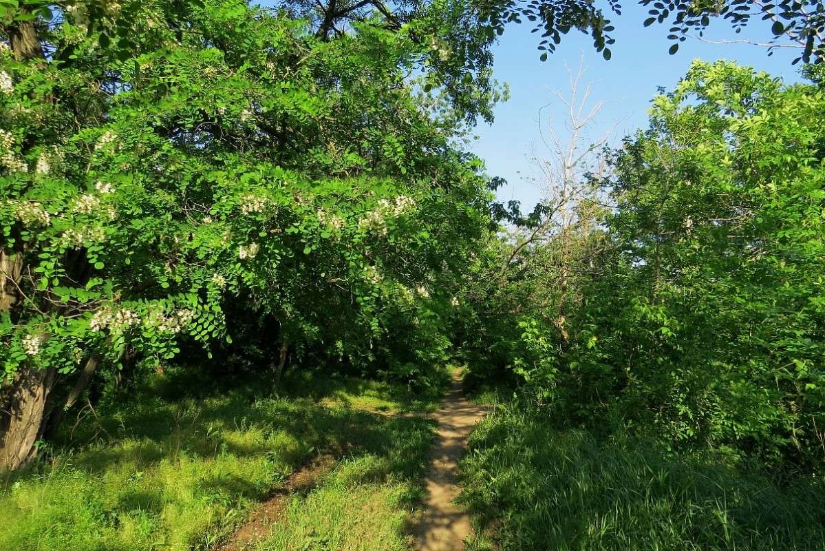 ������ ���� ����� Natali  ��������� �� PhotoGeek.ru #������ ��� ������� #����� ��������������