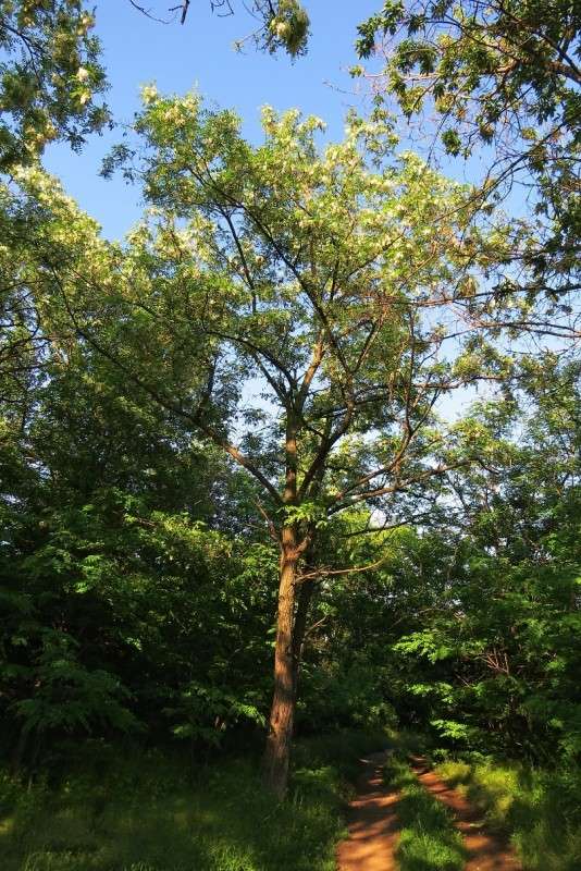 ��, ����� ������ ������ ))) ����� Natali  ��������� �� PhotoGeek.ru #������ ��� ������� #����� ��������������