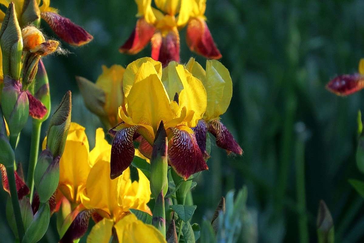 ... ����� Natali  ��������� �� PhotoGeek.ru #������ ��� ������� #����� ��������������