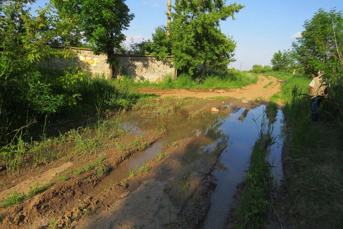 ��, ������ .... ))) ����� Natali  ��������� �� PhotoGeek.ru #�������� #����� ��������