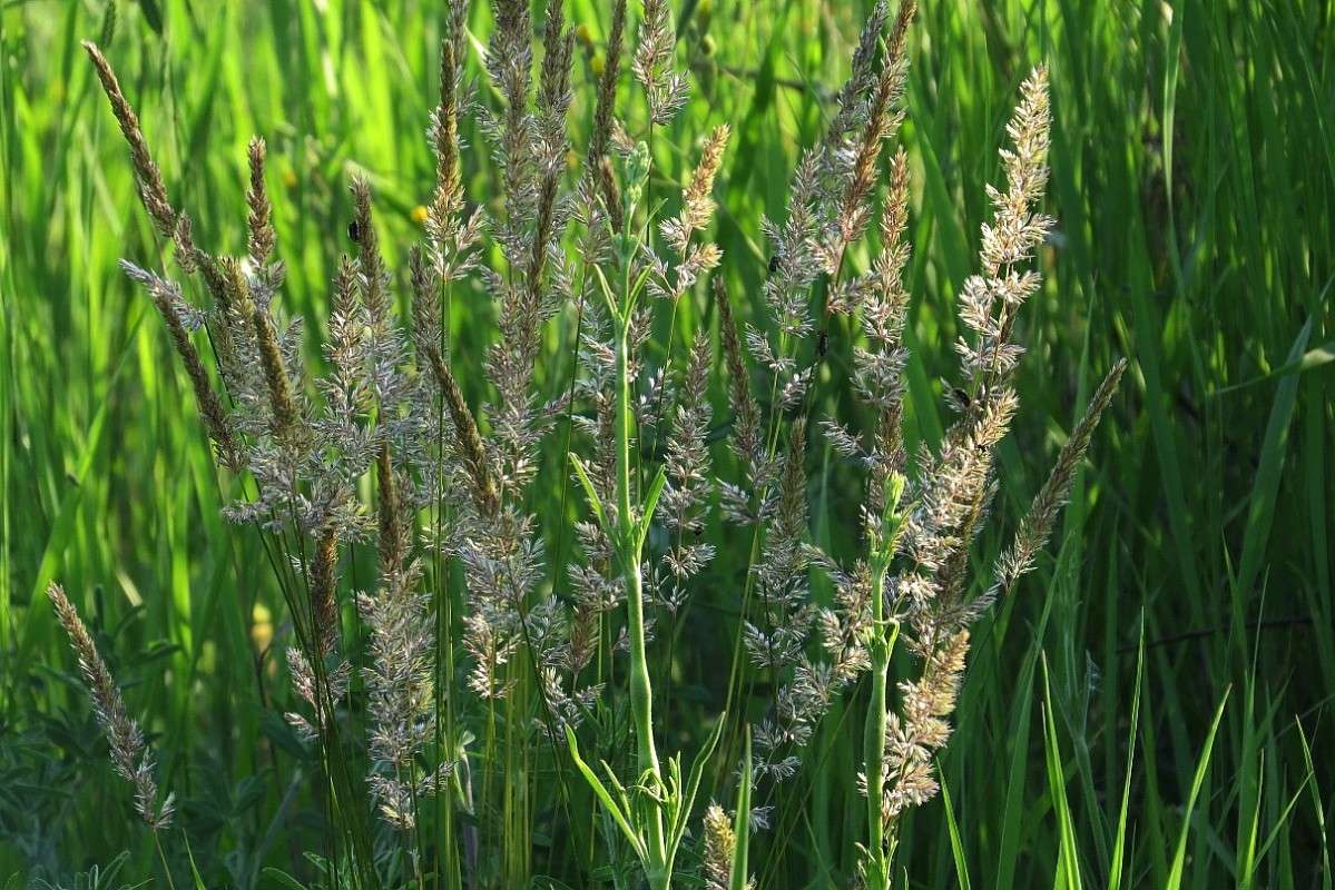 ���. ����� Natali  ��������� �� PhotoGeek.ru #������ ��� ������� #����� ��������������