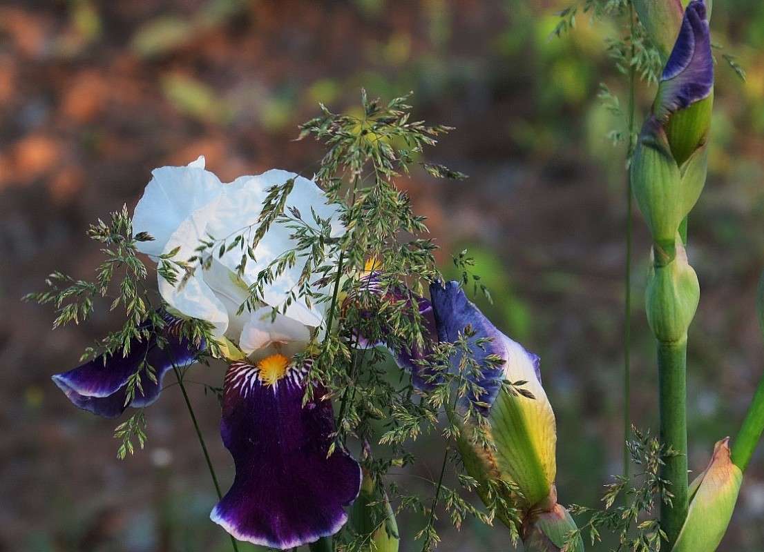 ����������� ������ .... ) ����� Natali  ��������� �� PhotoGeek.ru #������ ��� ������� #����� ��������������