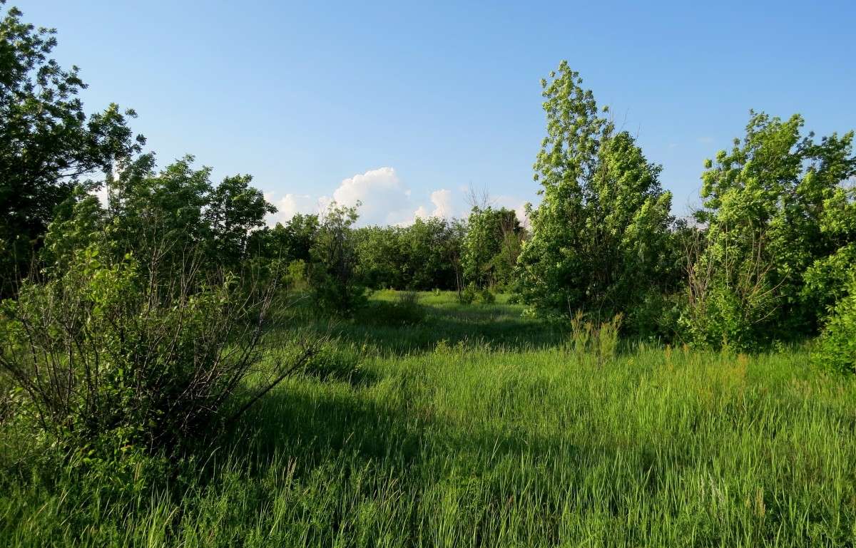 �����. ����� ������ ����� Natali  ��������� �� PhotoGeek.ru #������ ��� ������� #����� ��������������