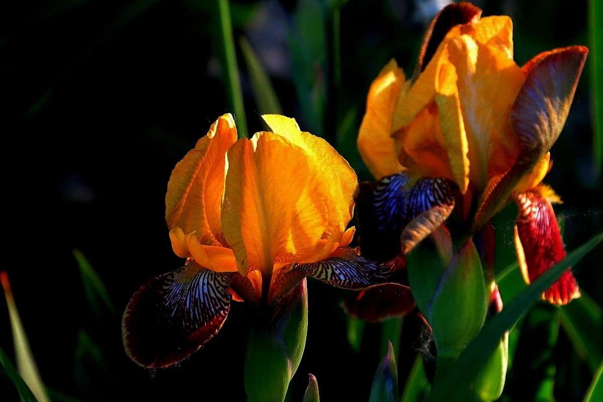 ��������� ������� ))) ����� Natali  ��������� �� PhotoGeek.ru #����� ��������������