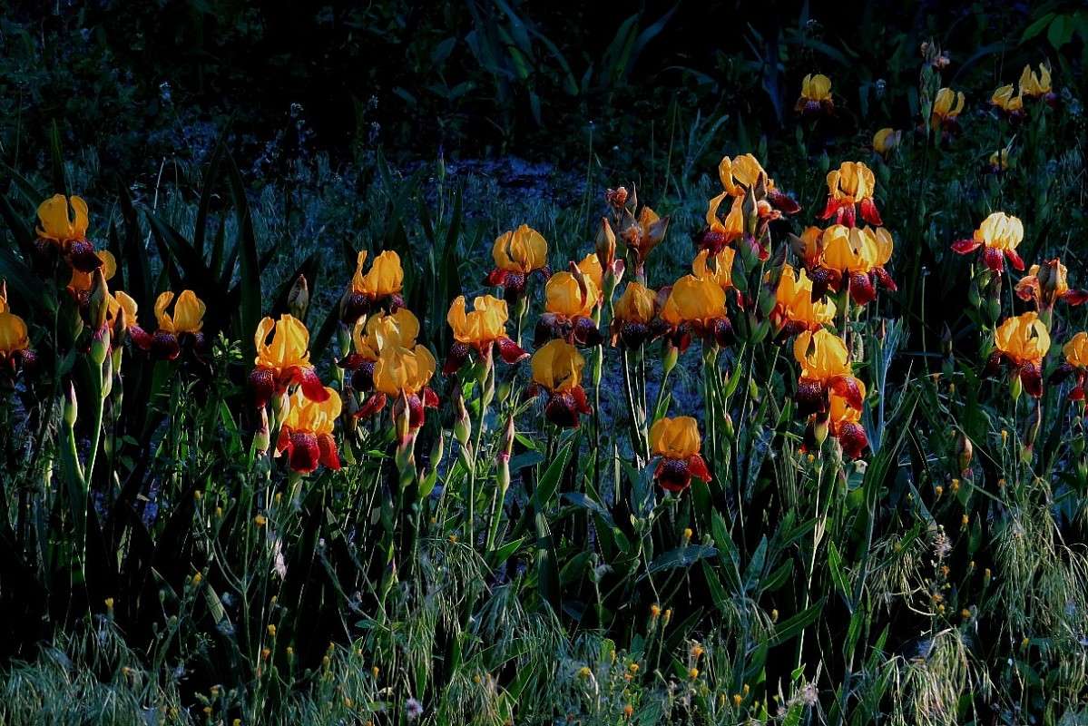 ... ����� Natali  ��������� �� PhotoGeek.ru #����� ��������������