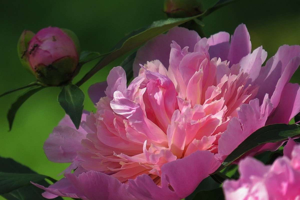 ... ����� Natali  ��������� �� PhotoGeek.ru #����� ��������������