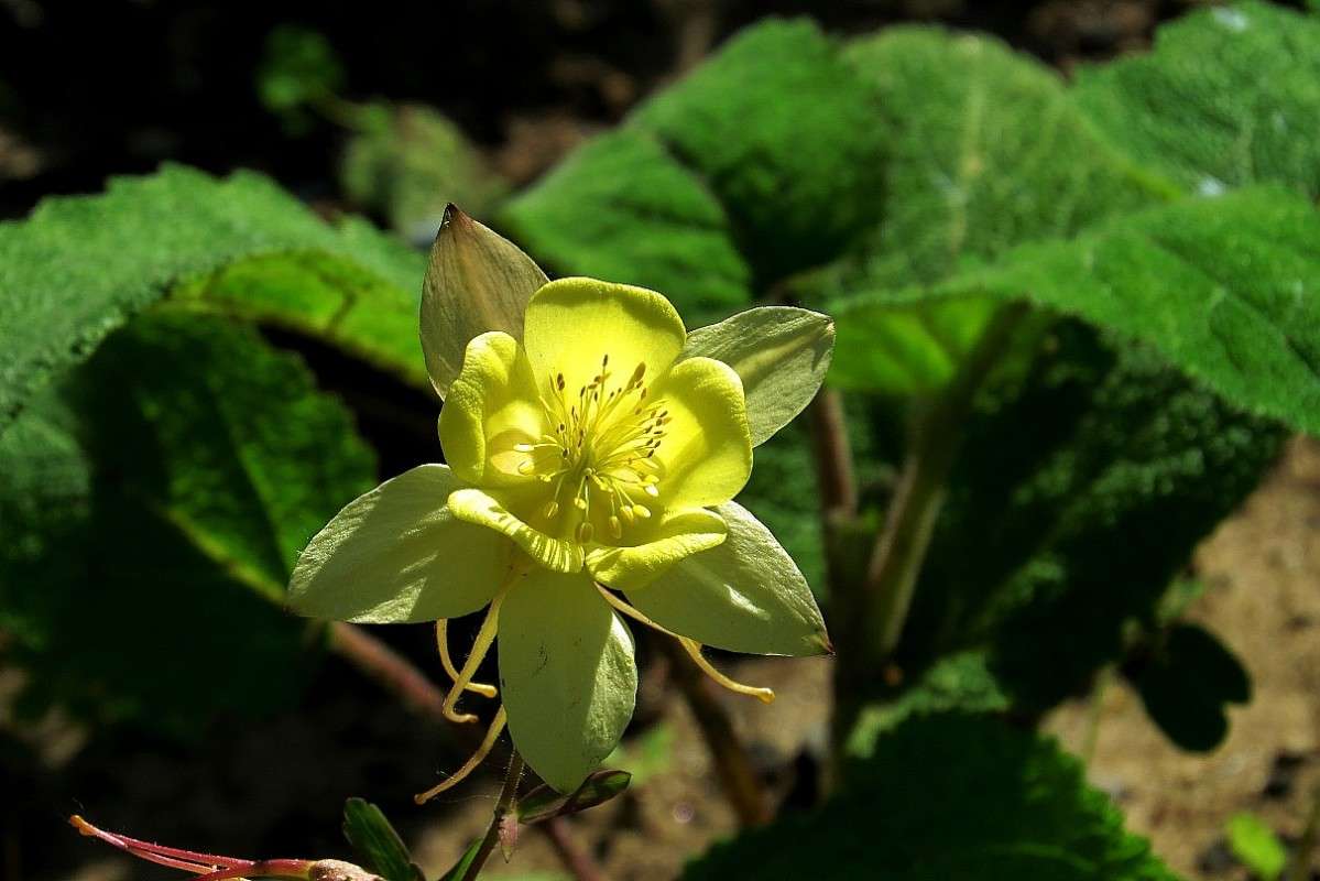 ... ����� Natali  ��������� �� PhotoGeek.ru #����� ��������������