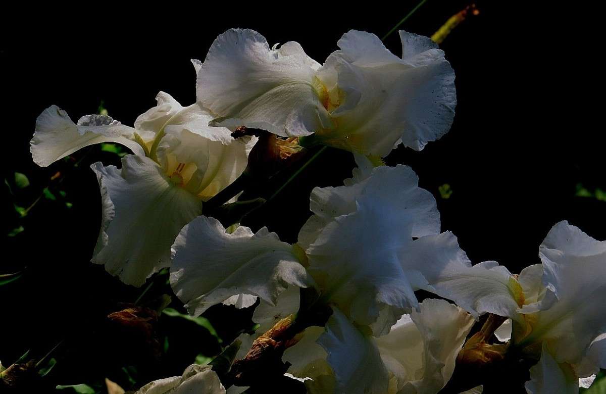 ... ����� Natali  ��������� �� PhotoGeek.ru #����� ��������������