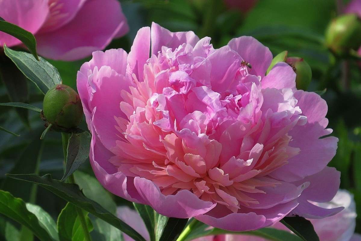 � � �������� ���� .... ))) 2 ����� Natali  ��������� �� PhotoGeek.ru #������ ��� ������� #����� ��������������