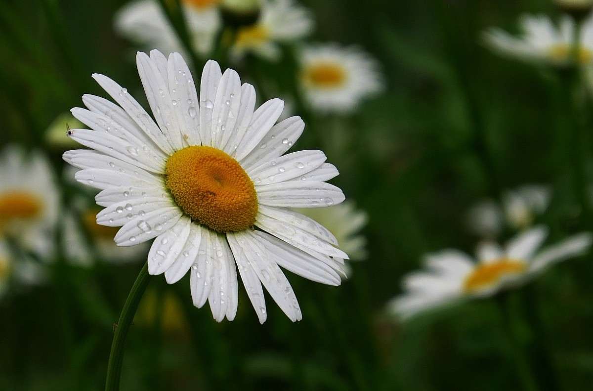 � � �������� ���� .... ))) 3 ����� Natali  ��������� �� PhotoGeek.ru #������ ��� ������� #����� ��������������