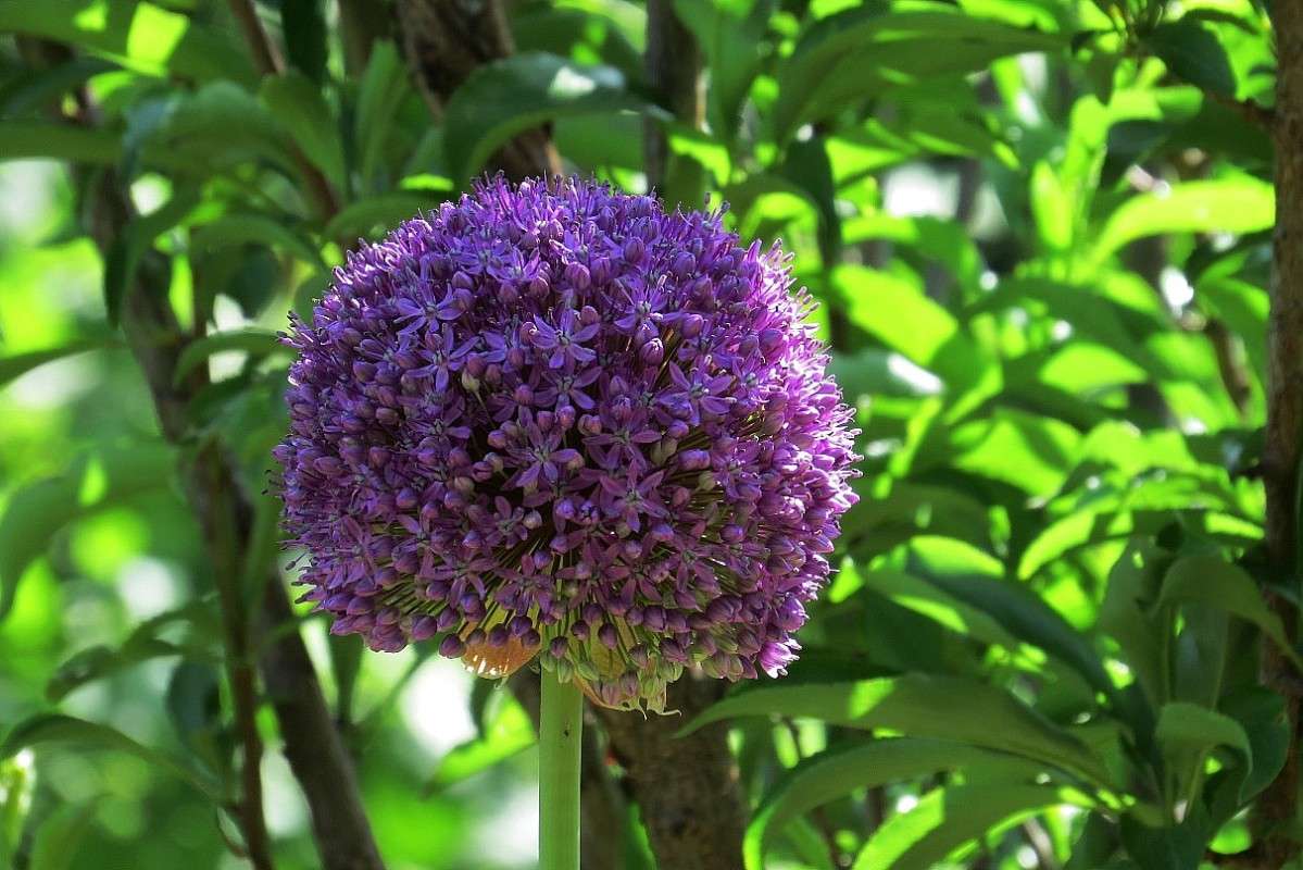 � � �������� ���� .... ))) 4 ����� Natali  ��������� �� PhotoGeek.ru #������ ��� ������� #����� ��������������