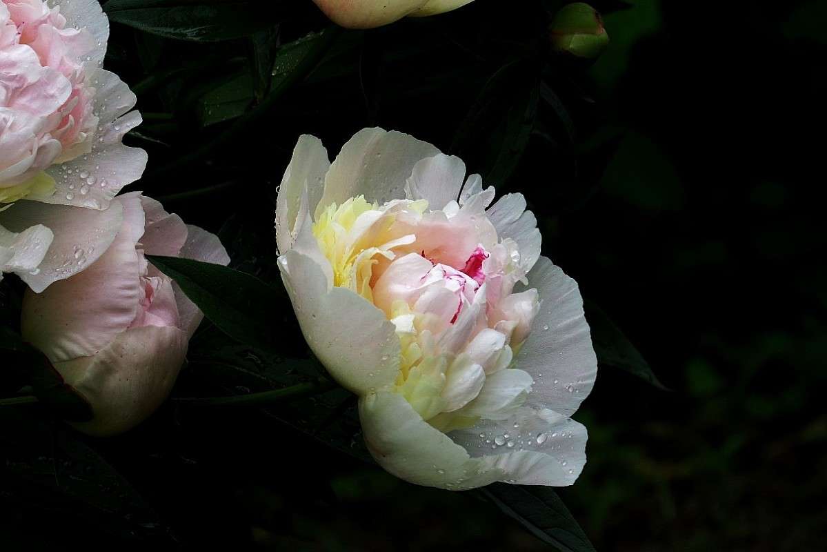 ����� ����� 2 ����� Natali  ��������� �� PhotoGeek.ru #������ ��� ������� #����� ��������������