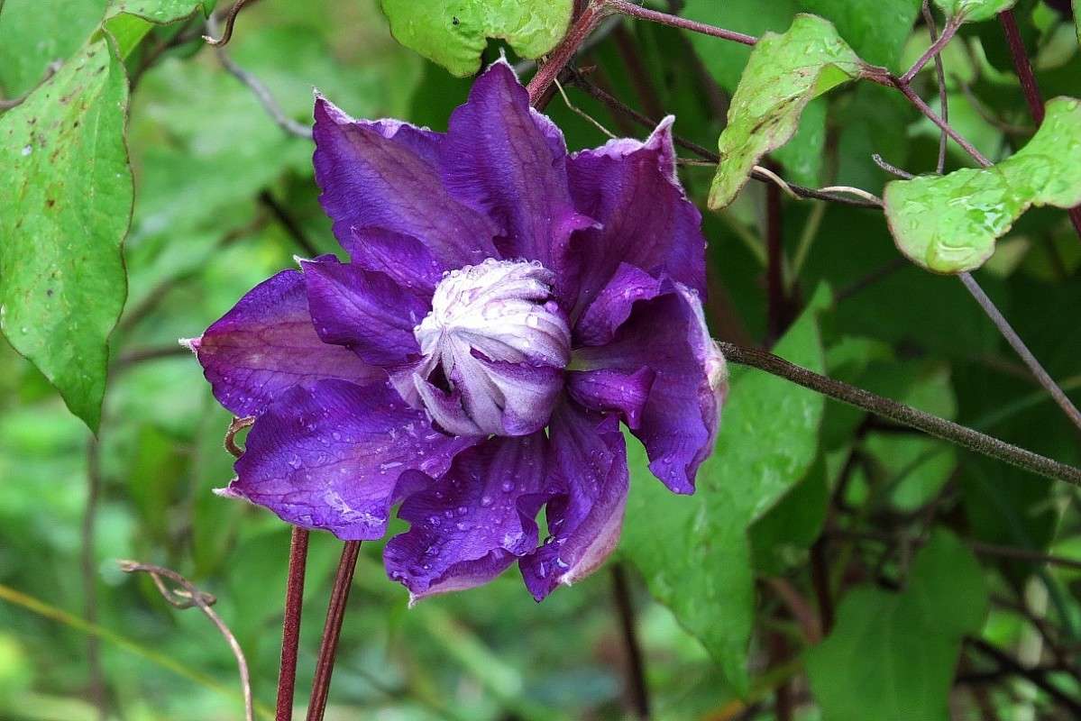 ����� ����� ����� Natali  ��������� �� PhotoGeek.ru #������ ��� ������� #����� ��������������