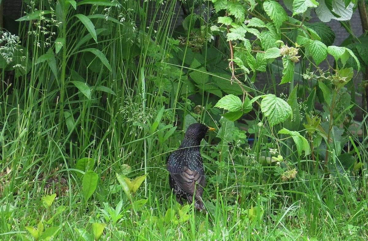 ������� �� ������ ))) 2 ����� Natali  ��������� �� PhotoGeek.ru #�������� ��� #������ ��� ������� #����� ��� ��� ���������