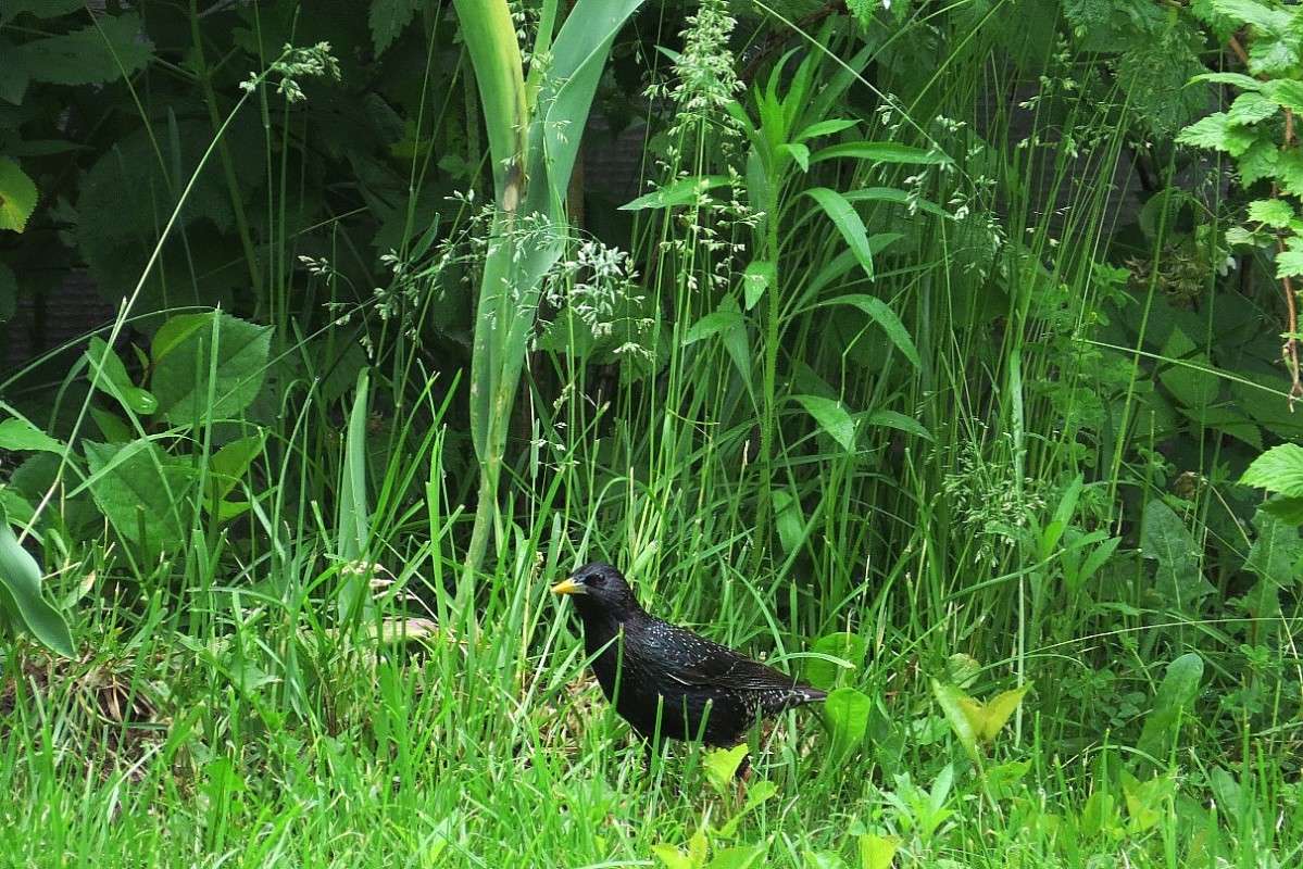 ������� �� ������ ))) ����� Natali  ��������� �� PhotoGeek.ru #�������� ��� #����� ��� ��� ���������