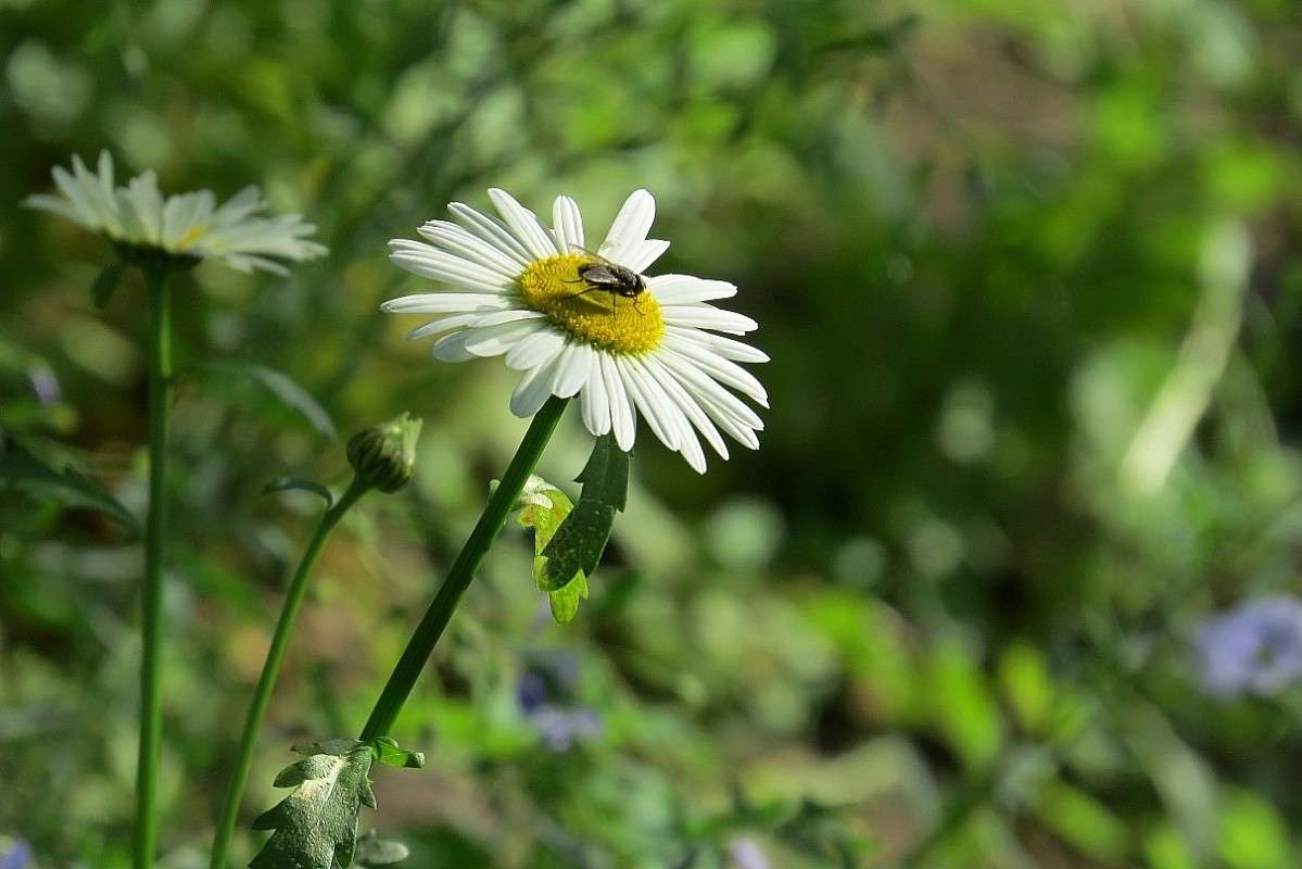 ... ����� Natali  ��������� �� PhotoGeek.ru #������ ��� ������� #����� ��������������