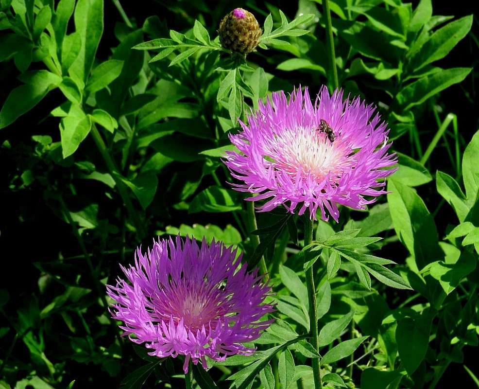 ... ����� Natali  ��������� �� PhotoGeek.ru #������ ��� ������� #����� ��������������