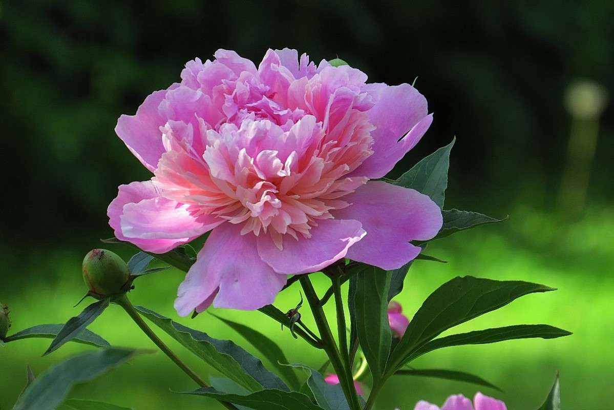 ... ����� Natali  ��������� �� PhotoGeek.ru #������ ��� ������� #����� ��������������