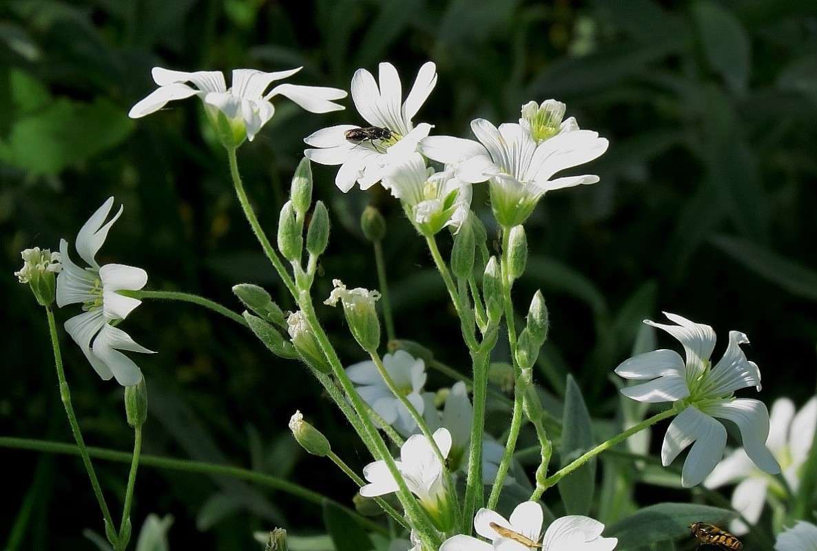 ... ����� Natali  ��������� �� PhotoGeek.ru #������ ��� ������� #����� ��������������