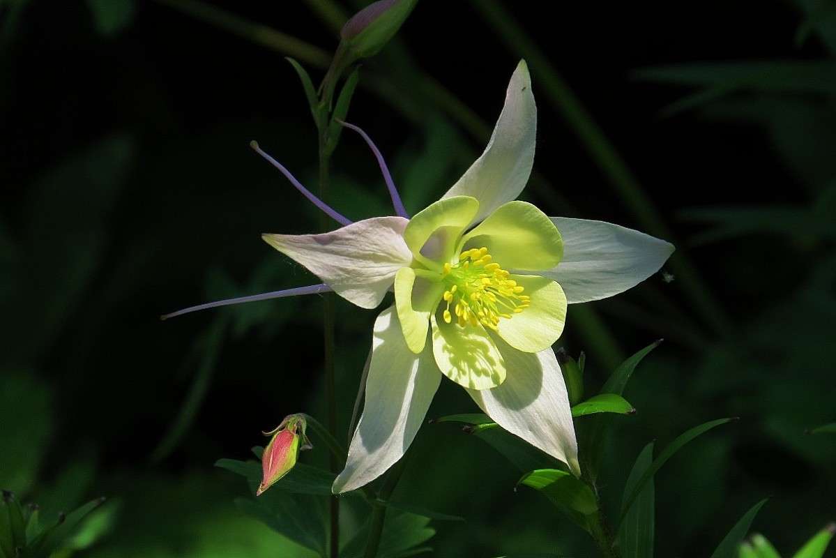 ... ����� Natali  ��������� �� PhotoGeek.ru #����� ��������������