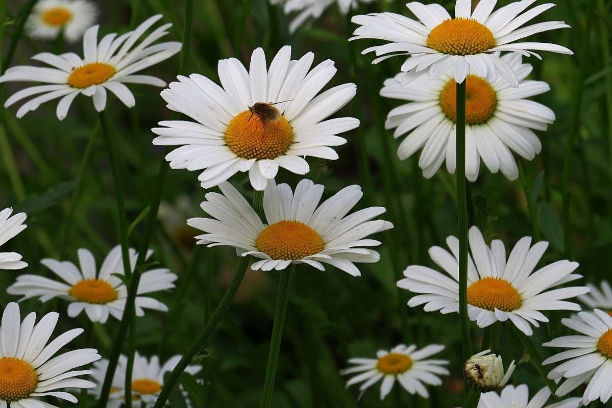 ... ����� Natali  ��������� �� PhotoGeek.ru #������ ��� ������� #����� ��������������