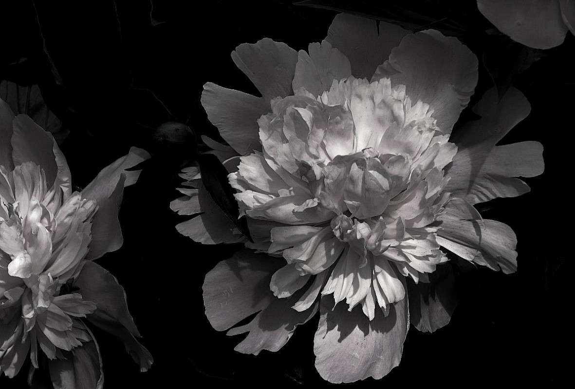 ... ����� Natali  ��������� �� PhotoGeek.ru #����� ��������������