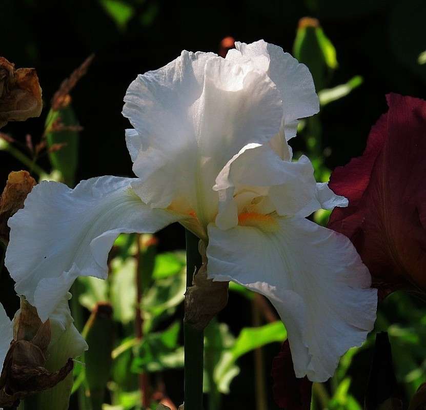 ... ����� Natali  ��������� �� PhotoGeek.ru #����� ��������������