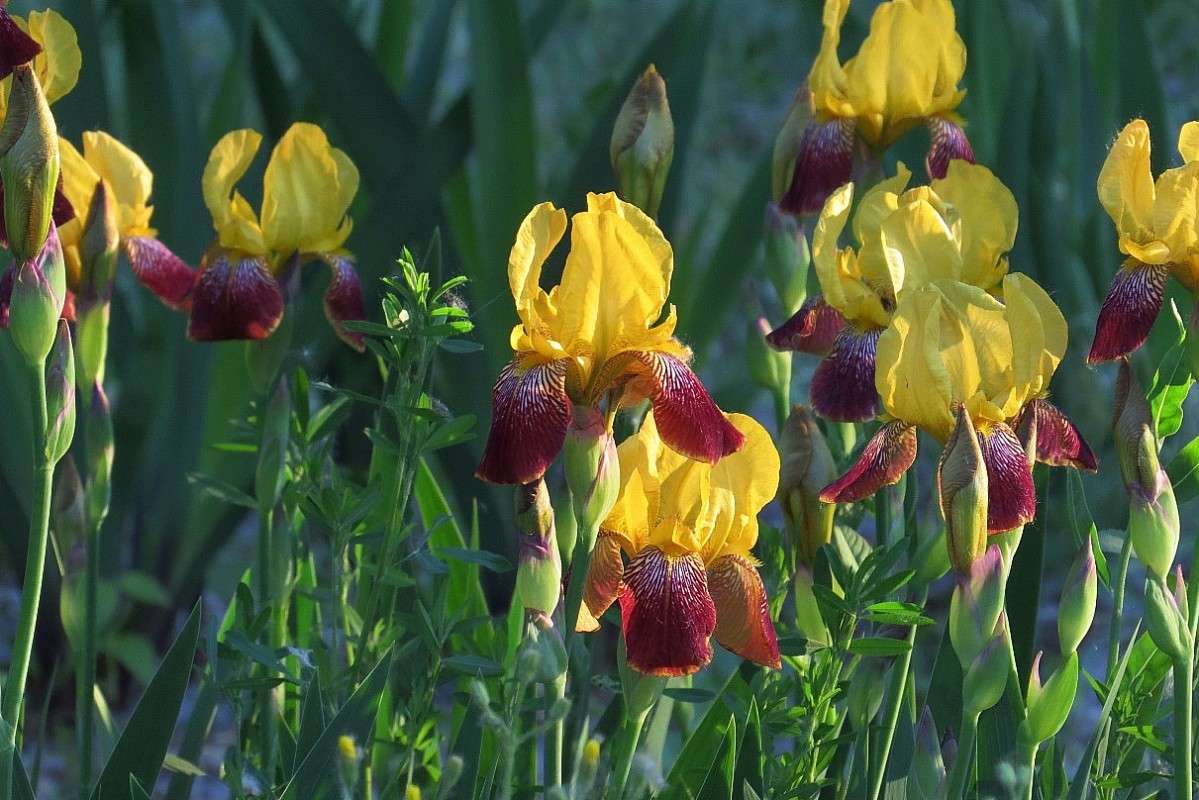 ... ����� Natali  ��������� �� PhotoGeek.ru #������ ��� ������� #����� ��������������