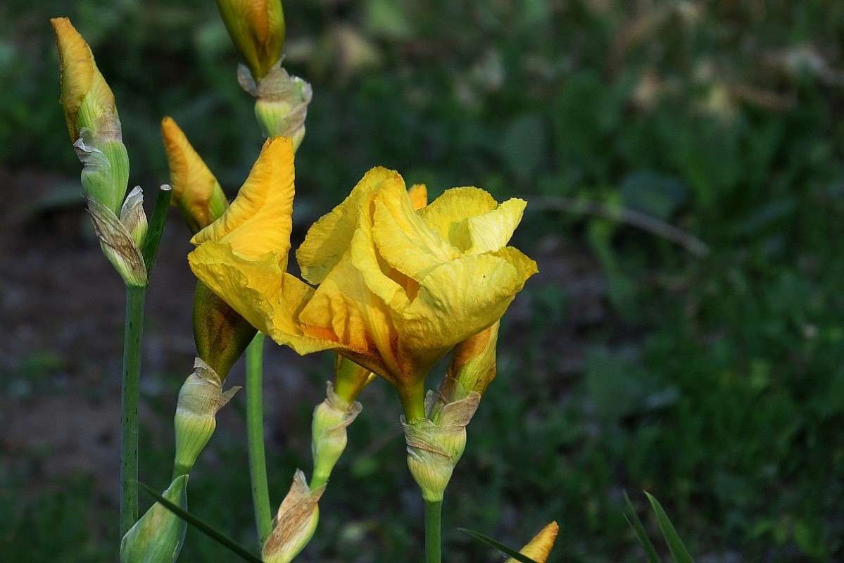 ... ����� Natali  ��������� �� PhotoGeek.ru #������ ��� ������� #����� ��������������