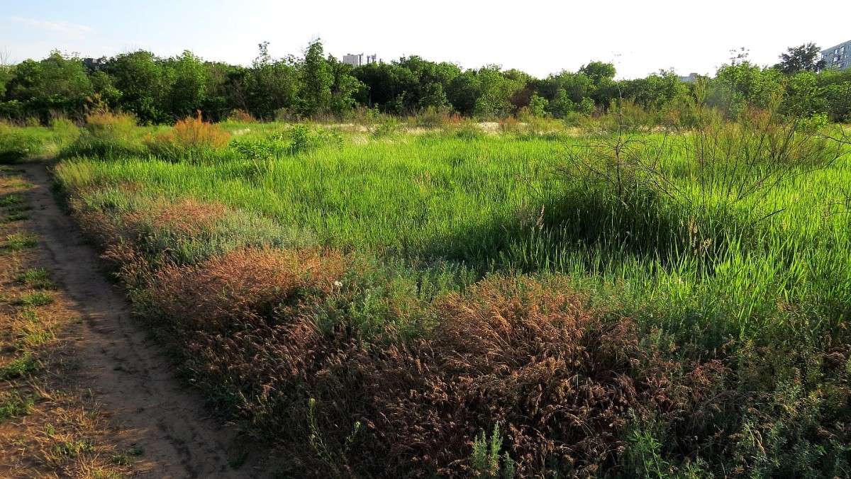 �����, ����� ... ����� Natali  ��������� �� PhotoGeek.ru #������ ��� ������� #����� �������������� #����� ��������