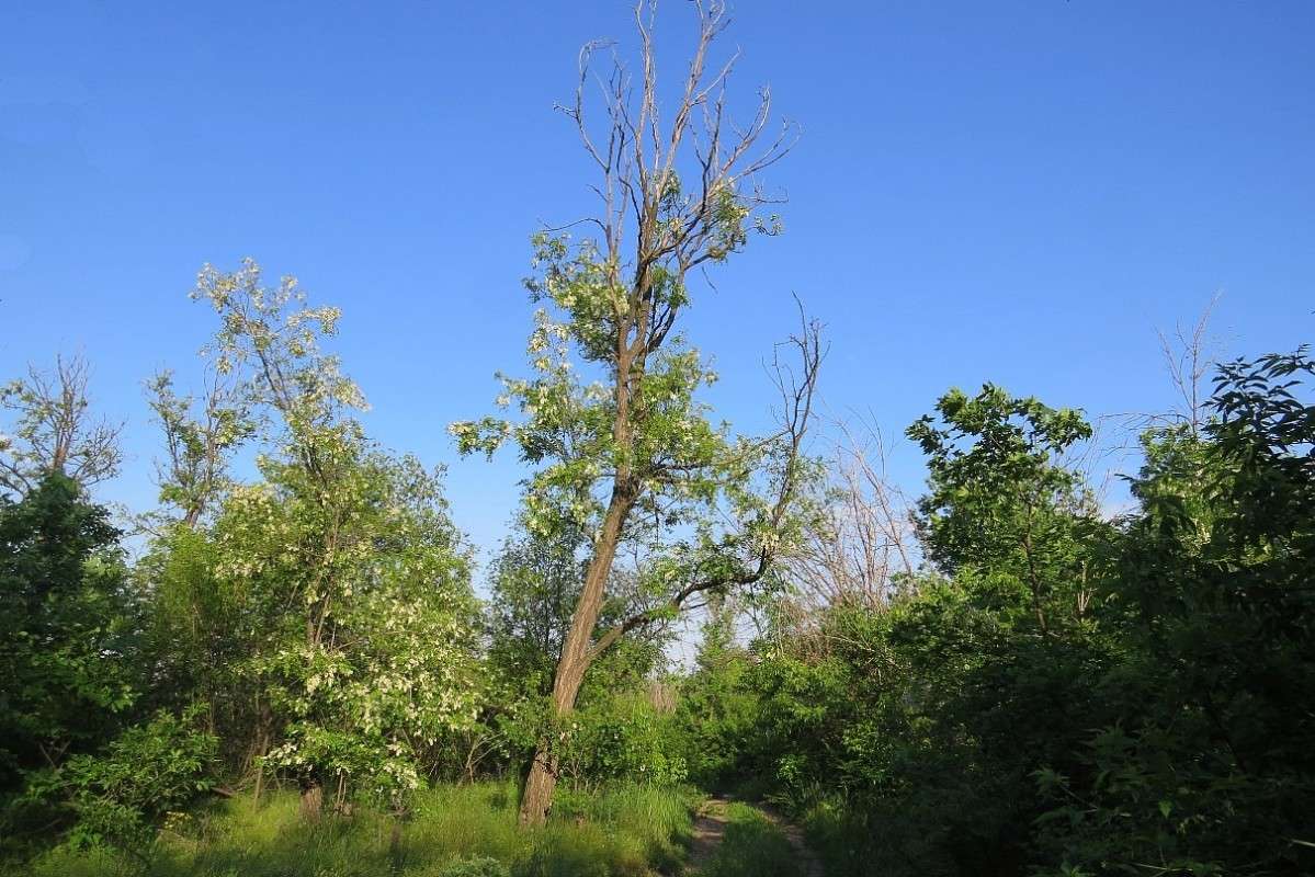 � �������� 2 ����� Natali  ��������� �� PhotoGeek.ru #������ ��� ������� #����� �������������� #����� ��������