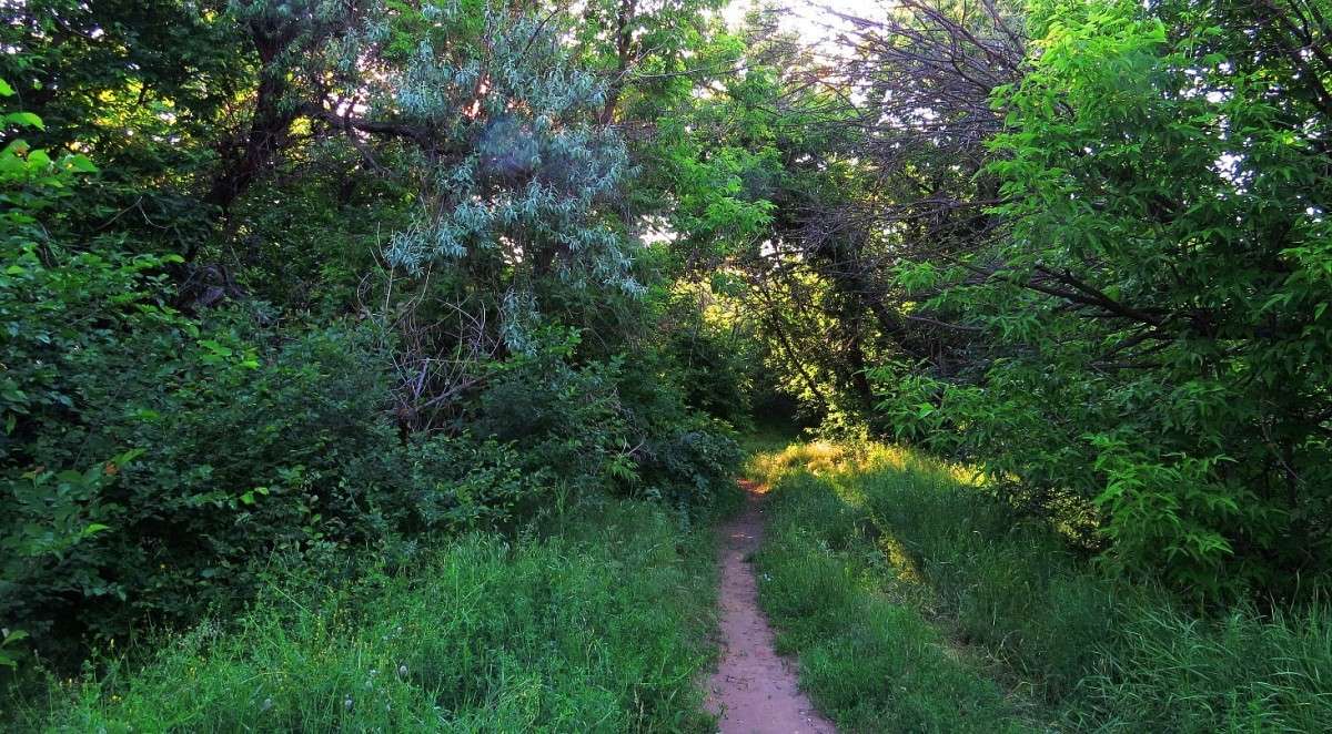 � �������� ) ����� Natali  ��������� �� PhotoGeek.ru #������ ��� ������� #����� �������������� #����� ��������