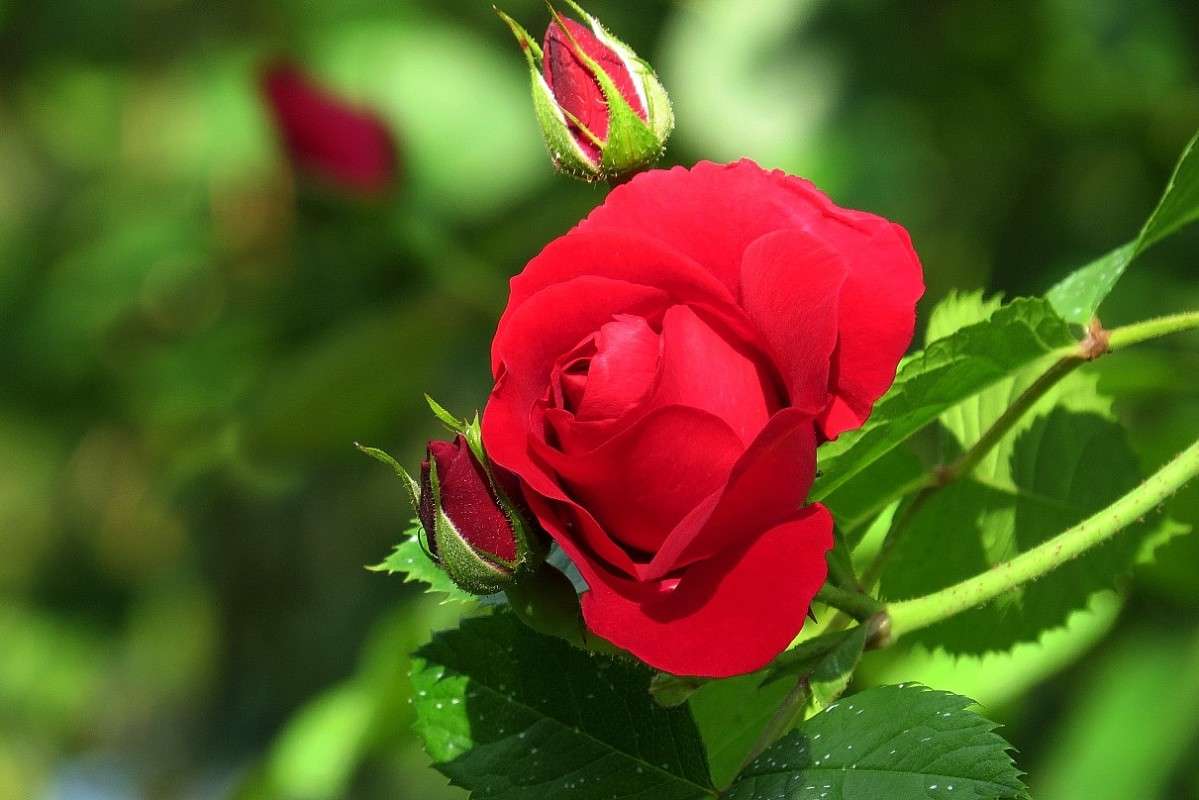 ... ����� Natali  ��������� �� PhotoGeek.ru #������ ��� ������� #����� ��������������