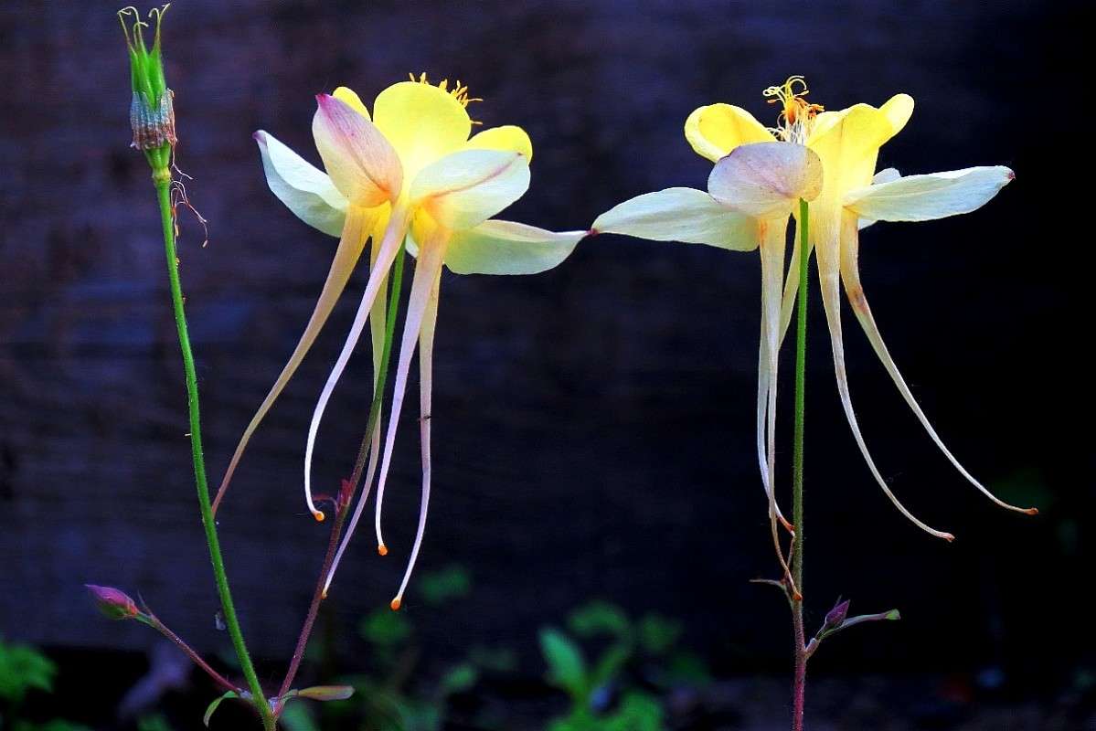 �������� ������ ) ����� Natali  ��������� �� PhotoGeek.ru #������ ��� ������� #����� ��������������