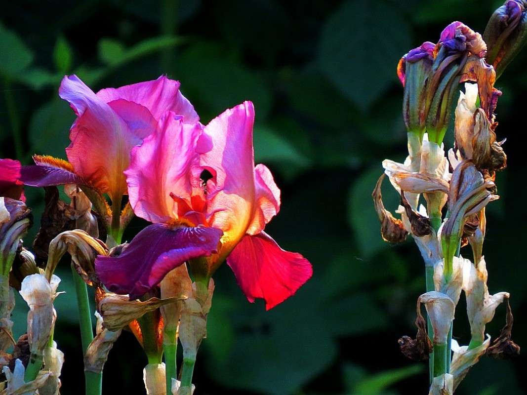 �������� ������ ) 2 ����� Natali  ��������� �� PhotoGeek.ru #������ ��� ������� #����� ��������������