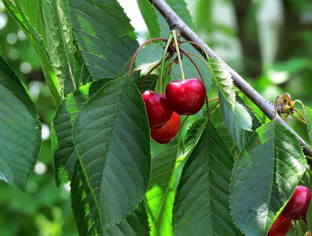 ... ����� Natali  ��������� �� PhotoGeek.ru #������ ��� ������� #����� ��������������